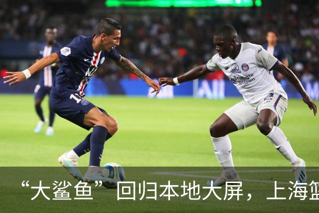 “大鲨鱼”回归本地大屏，上海篮球故事更精彩