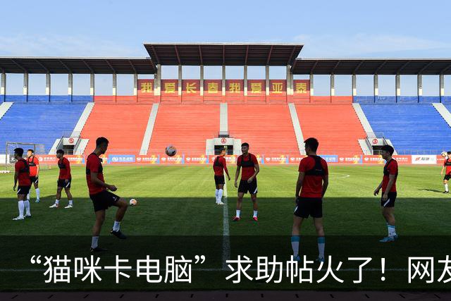 “猫咪卡电脑”求助帖火了！网友疯狂支招，场面十分“混乱”！