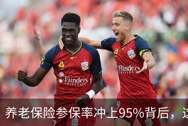养老保险参保率冲上95%背后，这几个问题才是真关键。