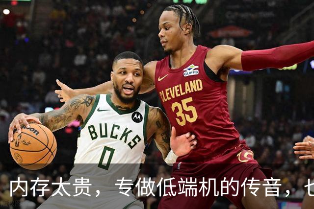 内存太贵，专做低端机的传音，也不想做低端机，还搞起副业来了