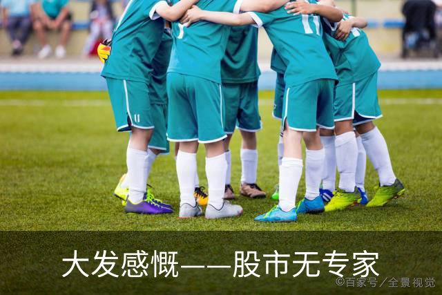 大发感慨——股市无专家