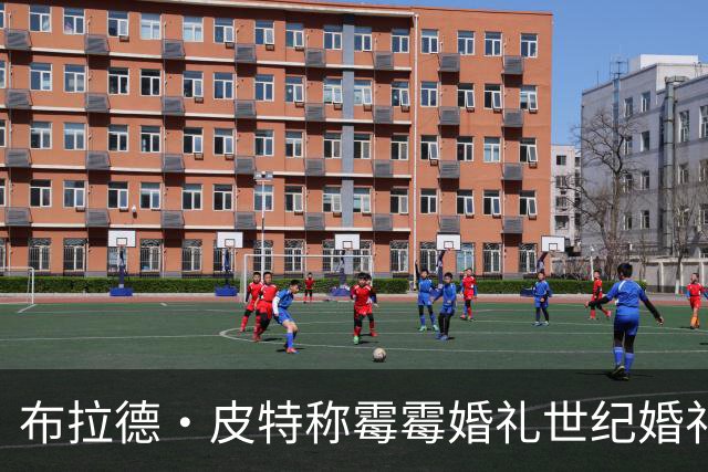 布拉德·皮特称霉霉婚礼"世纪婚礼"，自曝和女友在派对上走散