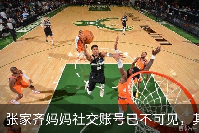 张家齐妈妈社交账号已不可见，其主动找心理专家李松蔚咨询，自嘲“张家齐是天才，我这个妈妈是笨蛋，女儿在我手里长这么大不容易”