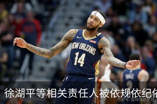 徐湖平等相关责任人被依规依纪依法处理