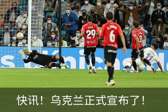 快讯！乌克兰正式宣布了！