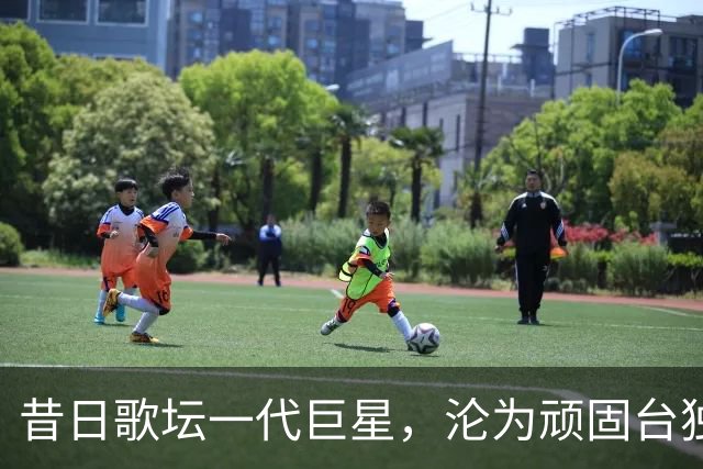 昔日歌坛一代巨星，沦为顽固台独分子，最后落得个家破人亡结局