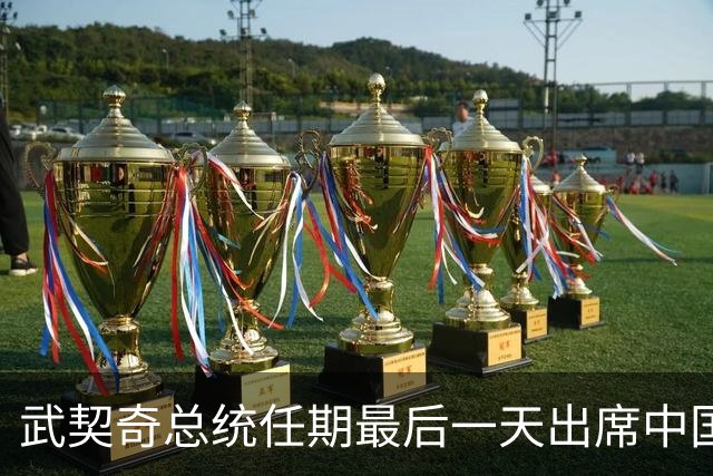 武契奇总统任期最后一天出席中国国庆招待会：两国人民的兄弟情谊超越了任何职务、职权和时间的限制，塞尔维亚和中国的钢铁友谊万岁