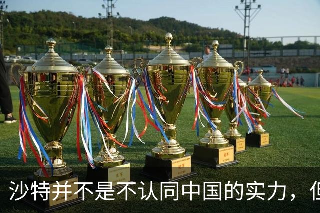 沙特并不是不认同中国的实力，但是沙特认为，中国有实力，却从来不去干预世界局势。