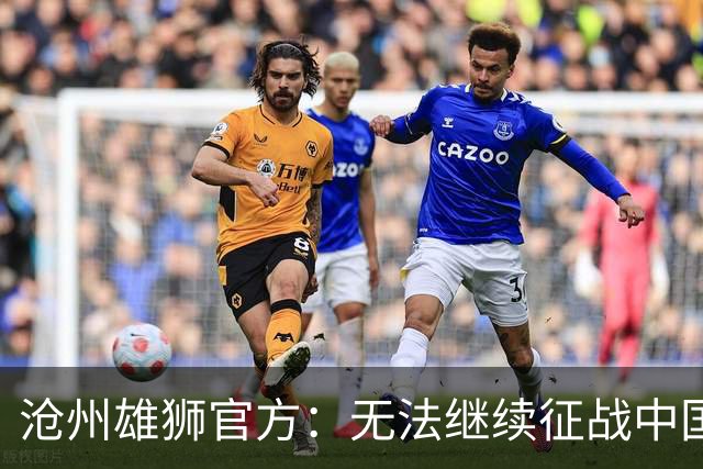 沧州雄狮官方：无法继续征战中国足球职业联赛