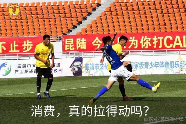 消费，真的拉得动吗？