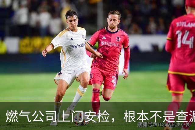 燃气公司上门安检，根本不是查漏气！真正目的其实是这三件事