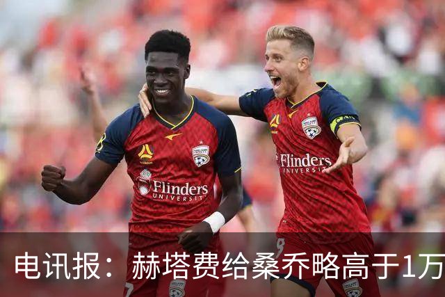 电讯报：赫塔费给桑乔略高于1万镑的周薪，他此前在曼联25万周薪