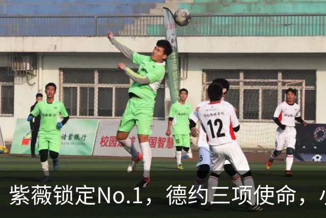 紫薇锁定No.1，德约三项使命，小钢炮轰中大姐，中国五虎战上海