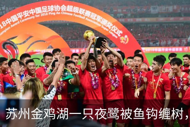 苏州金鸡湖一只夜鹭被鱼钩缠树，市民爬树救下，“有6个鱼钩，脚和翅膀全被钩住”，公园称此处并非垂钓点