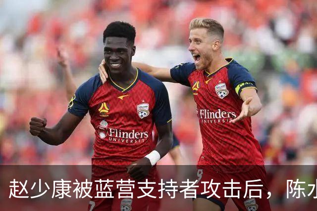赵少康被蓝营支持者攻击后，陈水扁发声，沈伯洋向中间选民出手了