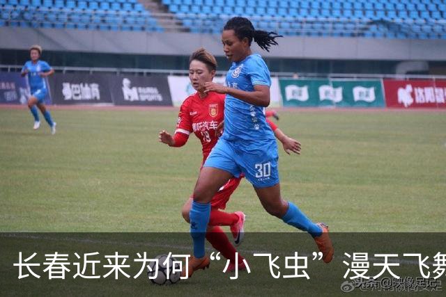 长春近来为何“小飞虫”漫天飞舞？真相来了！