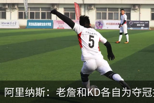 阿里纳斯：老詹和KD各自为夺冠换队 赢了却又被质疑抱团