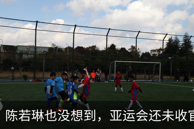 陈若琳也没想到，亚运会还未收官，全红婵凭一举动，大赚国人口碑