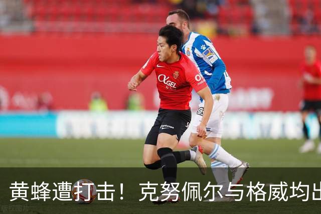 黄蜂遭打击！克努佩尔与格威均出现腿筋伤势：两人都将缺席季前赛